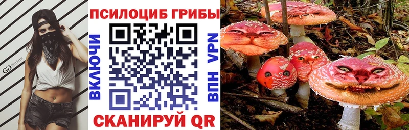 Галлюциногенные грибы мухоморы  блэк спрут маркетплейс  сайты даркнета наркотические препараты  Бор 