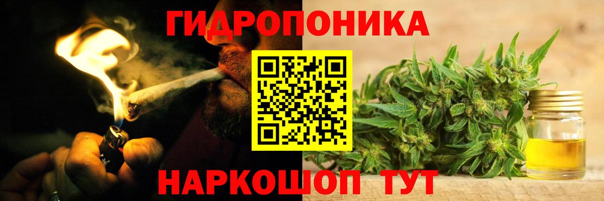 Бошки марихуана OG Kush Бор